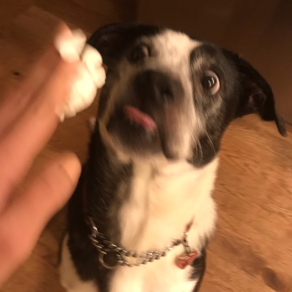 Meet your Posher, Jill - Picture 1 of 1